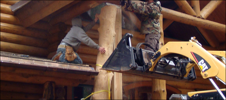 Log Home Log Replacement  Georgetown County,  South Carolina