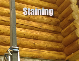  Georgetown County,  South Carolina Log Home Staining
